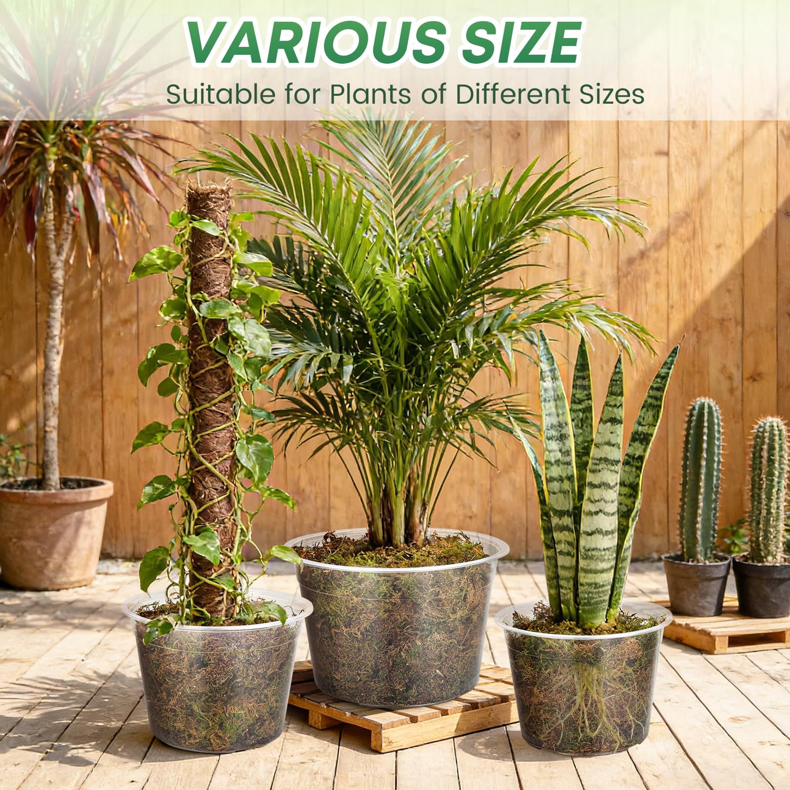 Inch Large Clear Nursery Pots with Drainage Hole, Plastic Plant Pots for Seedling Flower Vegetable, Indoor Outdoor Gardening, Used as Liner Inside Decorative Pot