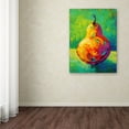 thumbnail image 3 of Trademark Fine Art 'Pear V' Canvas Art by Marion Rose, 3 of 3