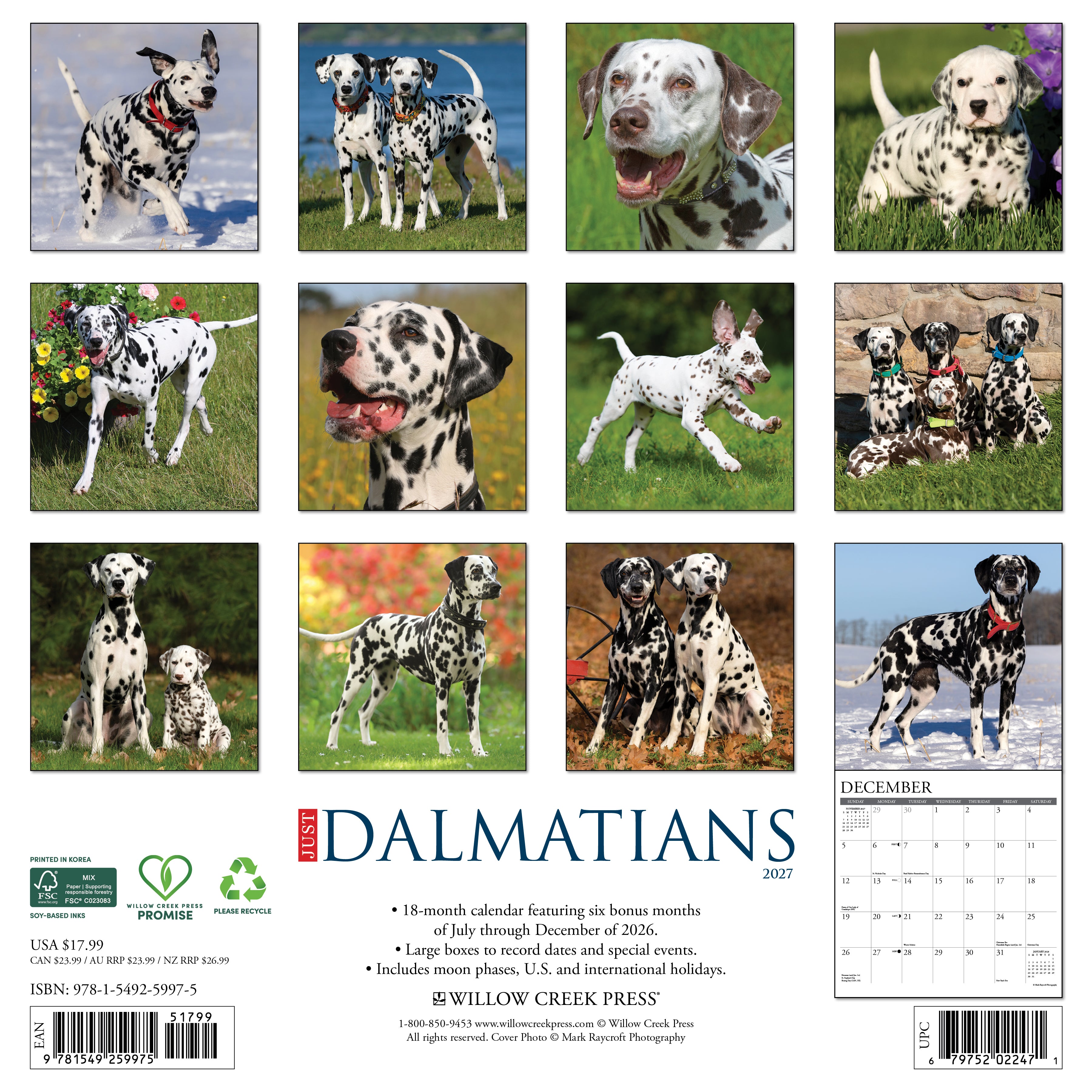 Willow Creek Press, Dalmatians 2027 Wall Calendar