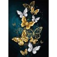 thumbnail image 1 of (DE5181) Resina Diamante Cuadrado Mariposa Diamante 30x40cm, 1 of 2