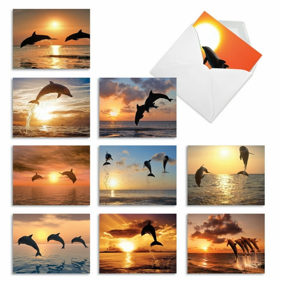10 All Occasion Blank Note Cards Assorted (4 x 5.12 Inch) - SUNSET DOLPHINS M6460OCB