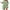 Green Flower, variant on DreamFish Women's Sleepwear Nightgown Adjustable Spaghetti Strap Nightshirt Sleeveless Soft Loungewear with Ruffle Hem