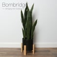 thumbnail image 2 of Bornbridge Large Artificial Snake Plant in Black Mid Century Ceramic Planter, 2 of 4