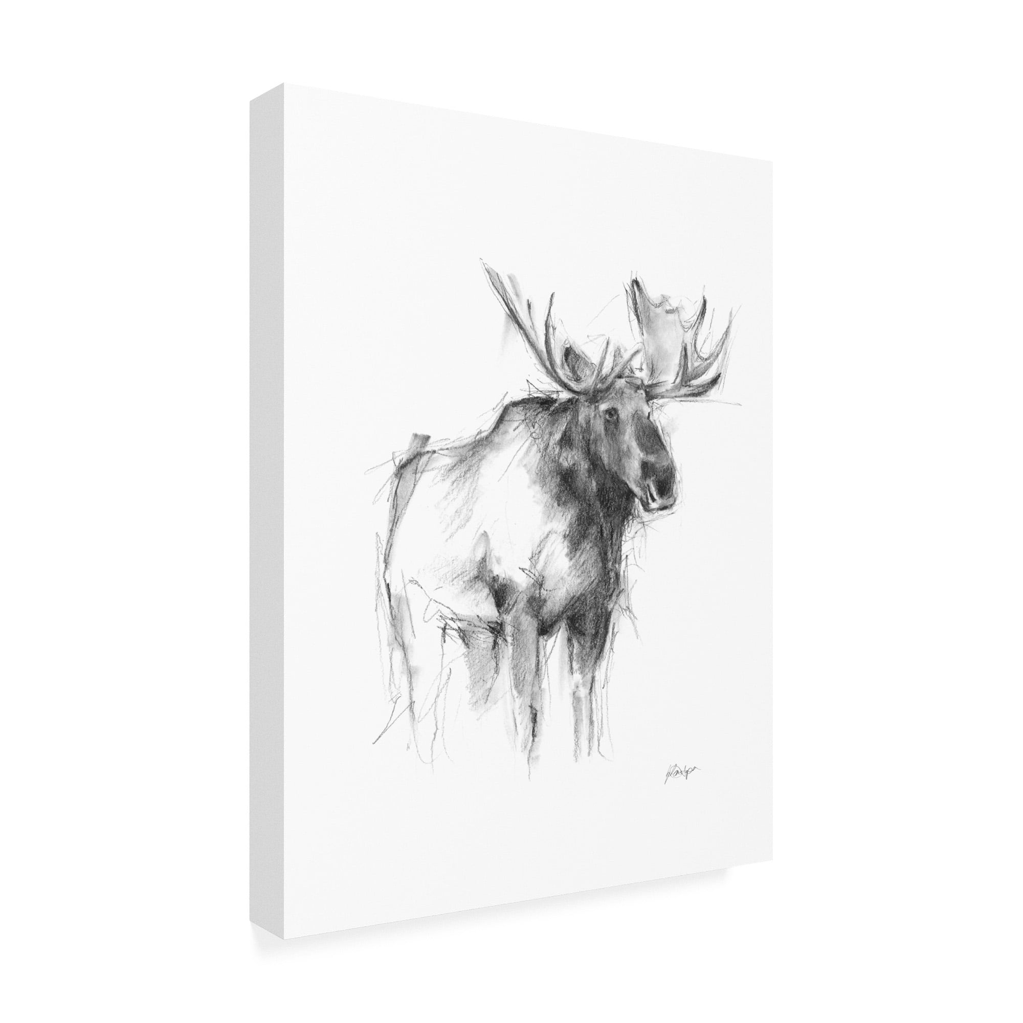Trademark Fine Art 'Western Animal Sketch IV' Canvas Art by Ethan Harper