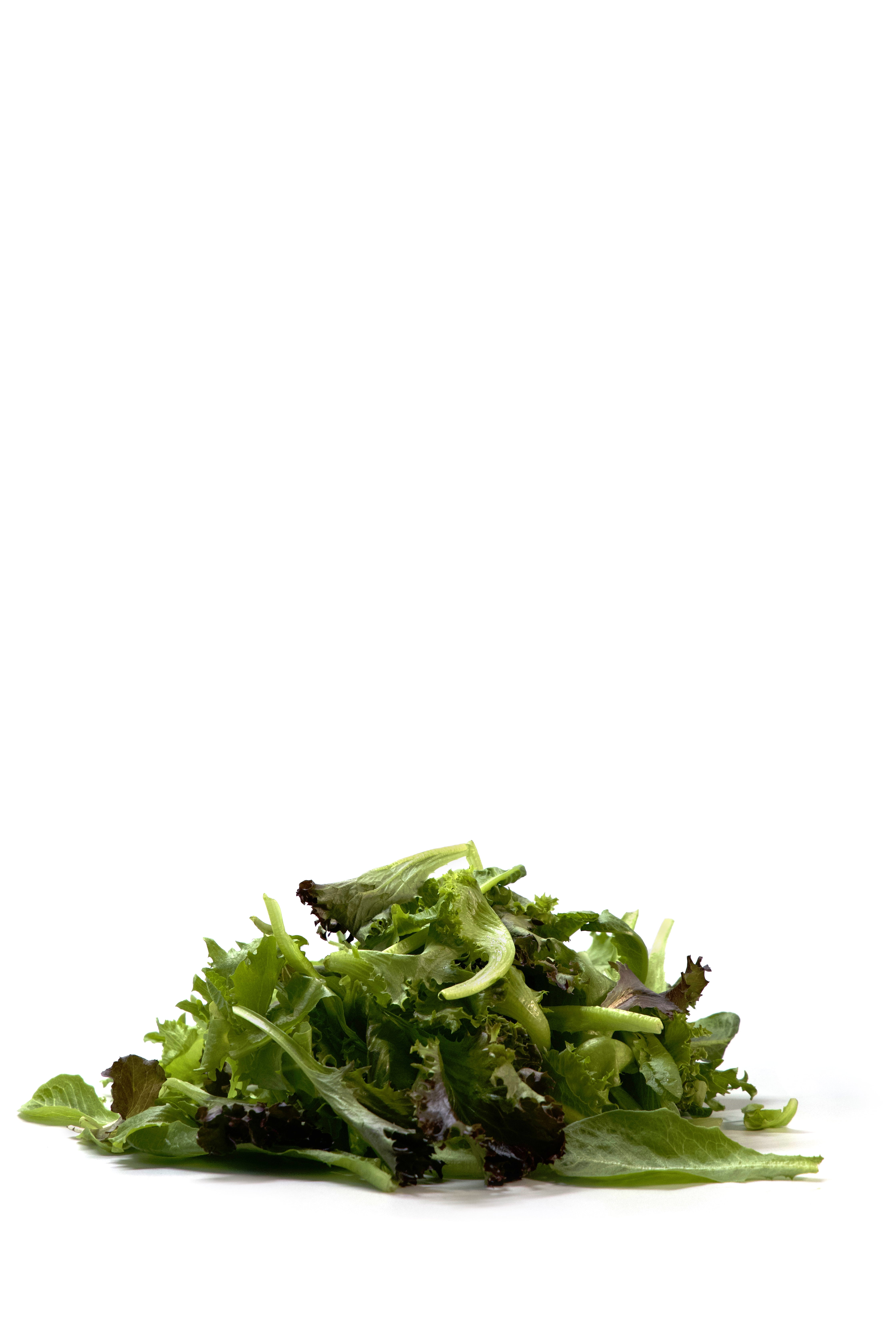 Local Bounti Spring Mix Baby Leaf 9.5oz