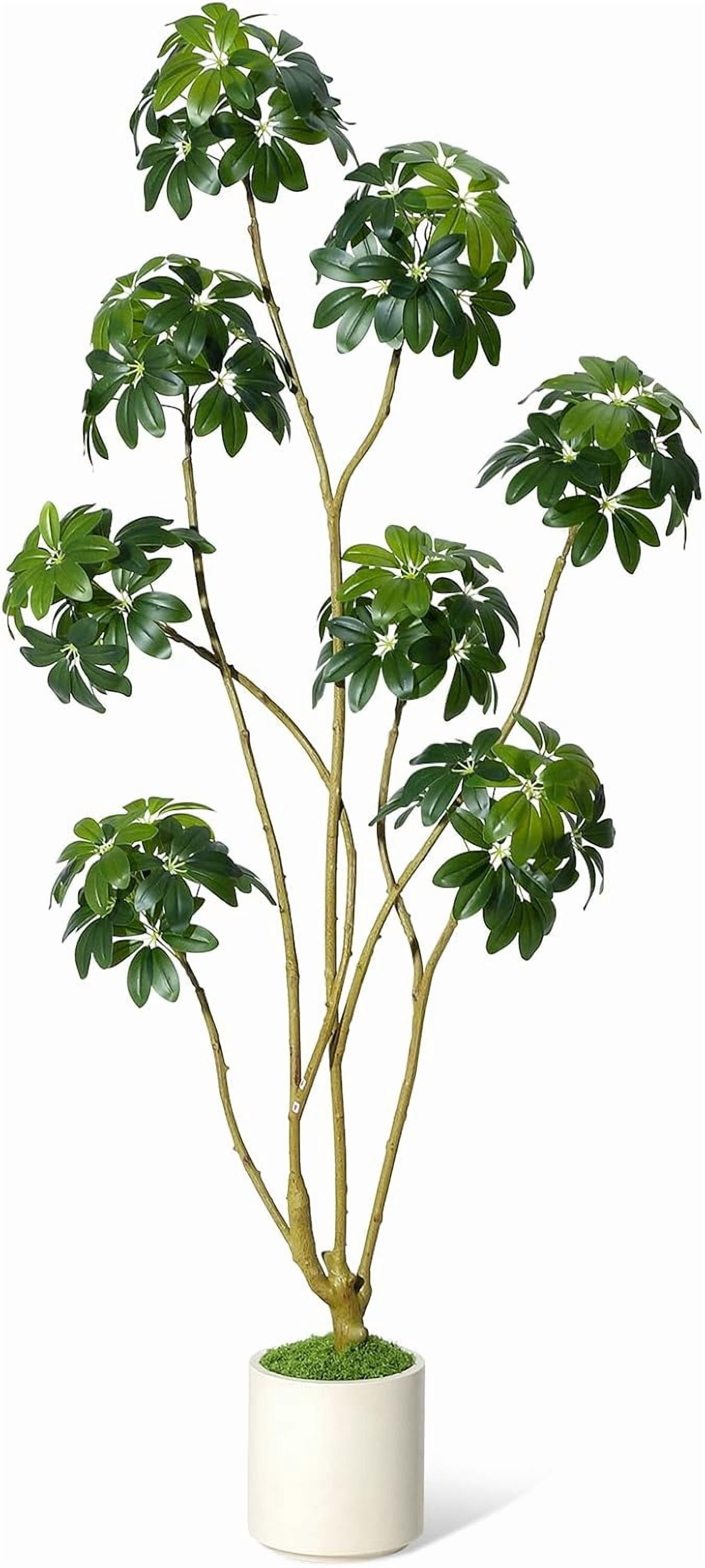 6ft Tall Artificial Umbrella Tree, Fake Indoor Plant with Multiple Trunks, Faux Schefflera Tree in Decorative White Planter, Real Touch Leaves