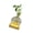 1, variant on LED Illuminated Hydroponic Glass Vases For Visible Plant Root Growth Display And Ambients Night Light Decoration Home