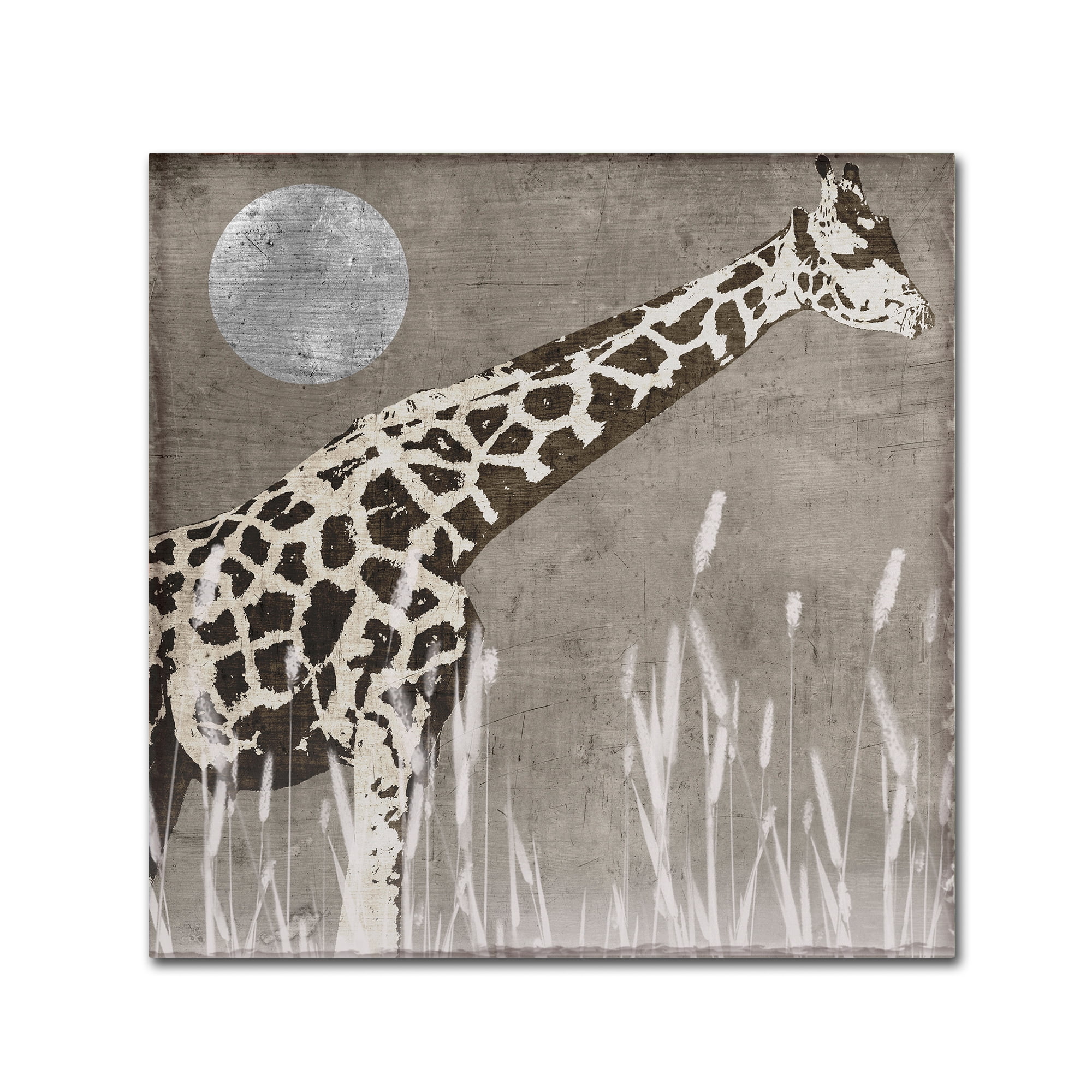 Trademark Fine Art "Moon Giraffe" Canvas Art by Color Bakery