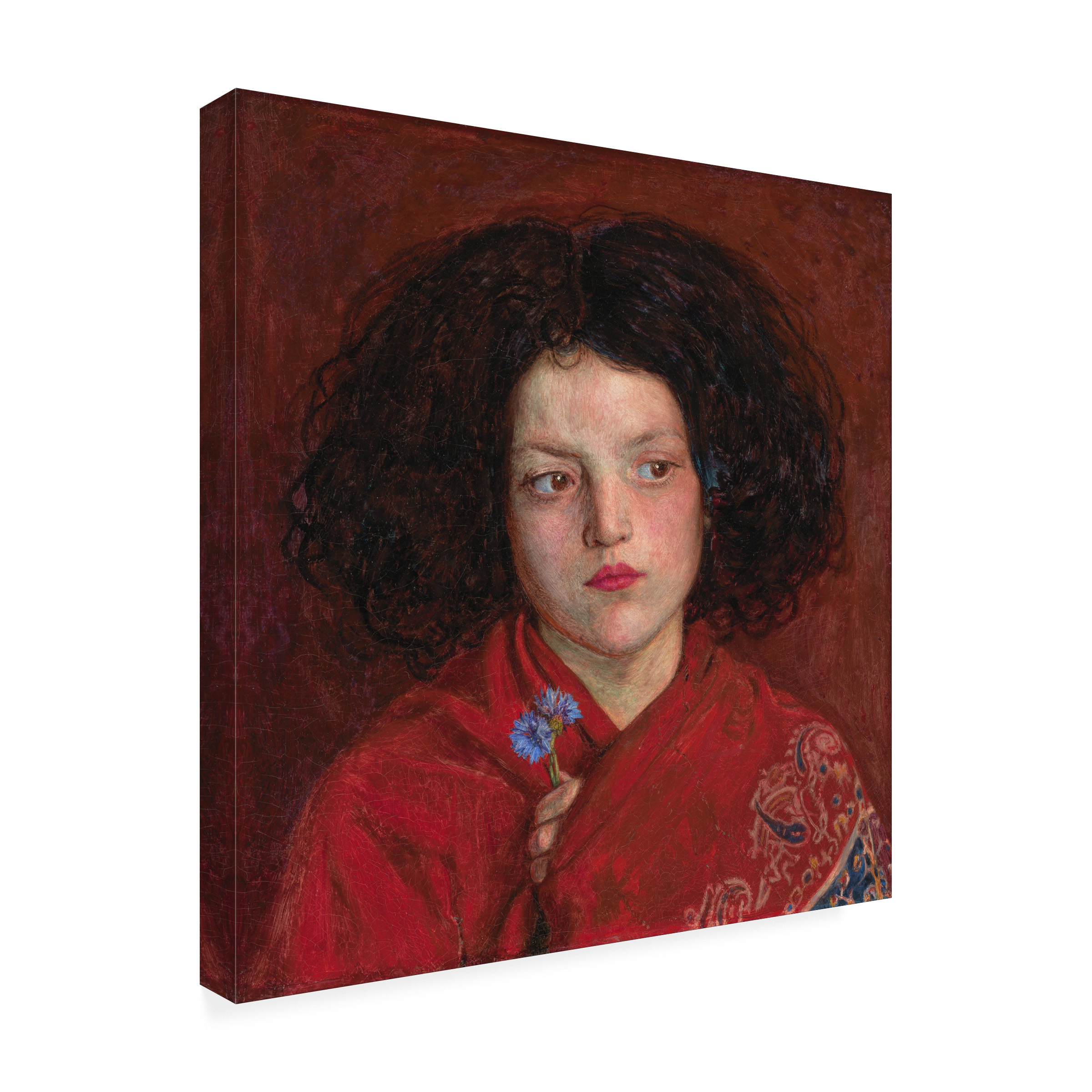 Brown 'The Irish Girl' Canvas Art