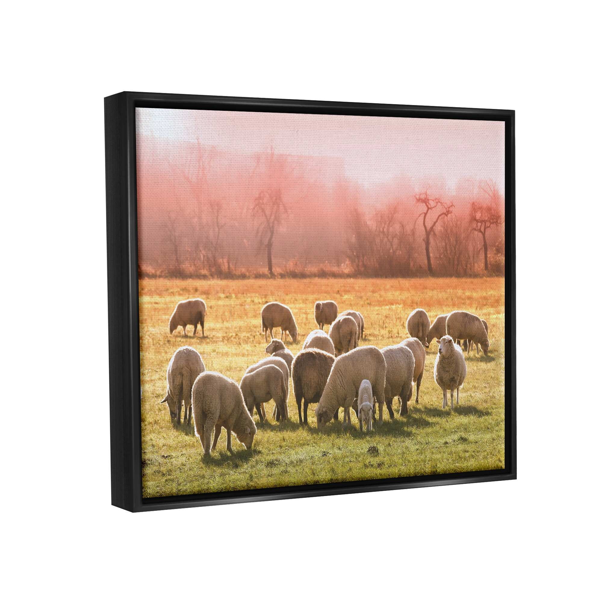 Stupell Industries Sheep Herd Grazing Warm Pink Sunset Rural Grassland Photograph Jet Black Floating Framed Canvas Print Wall Art, Design by Daphne Polselli