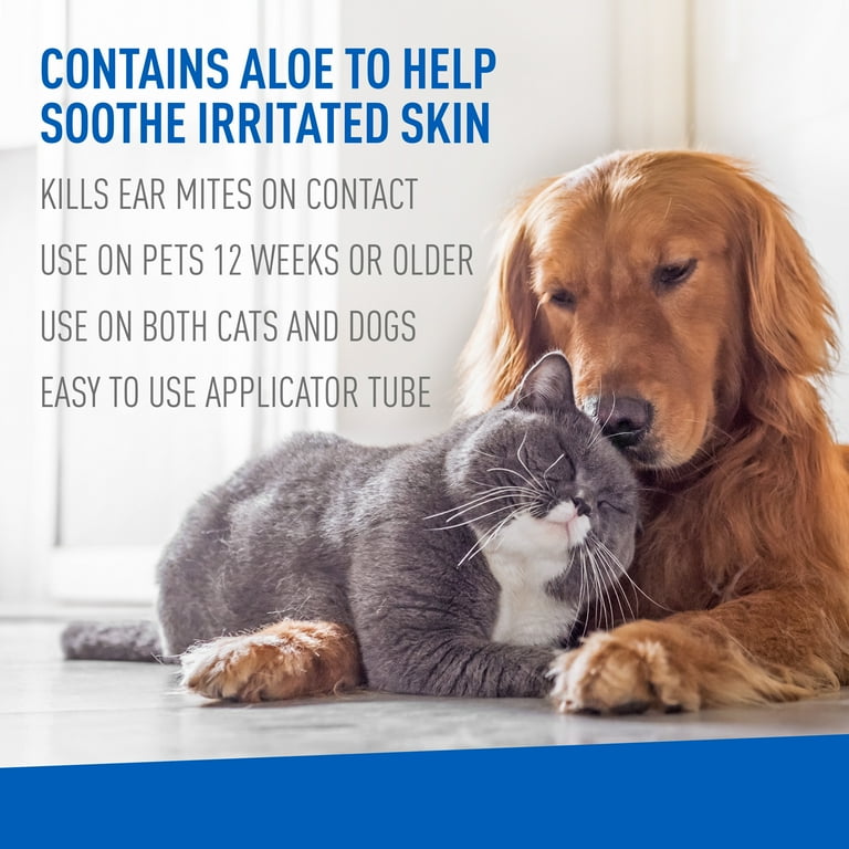 Walmart ear mite top medicine for cats
