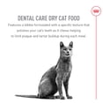 thumbnail image 4 of Feline Care Nutrition - Dental Care - Dry Cat Food, 4 of 5
