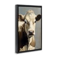thumbnail image 2 of Stupell Industries Rustic Lodge Farmhouse Cow with Gentle Gaze Black Floating Frame Canvas Art, 17 x 25, by Creative Studio, 2 of 8
