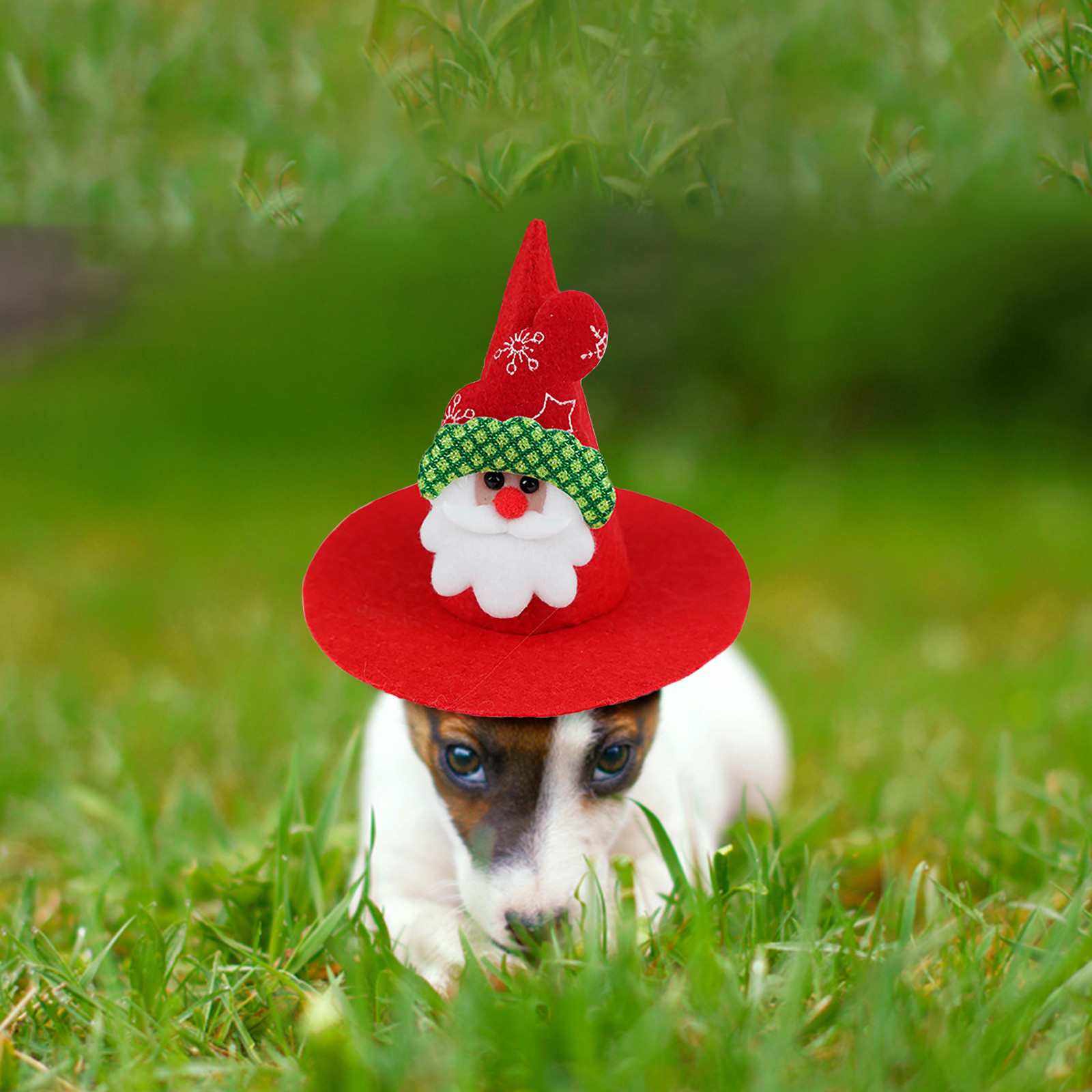 Red Green Santa Dog Christmas Hat Adjustable Christmas Tree Hat Cute