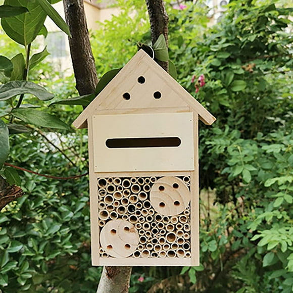 Cqxid Ornement de Bureau à Moins de 10$ Maison d'Insectes Nid d'Abeille Décoration pour Enfants