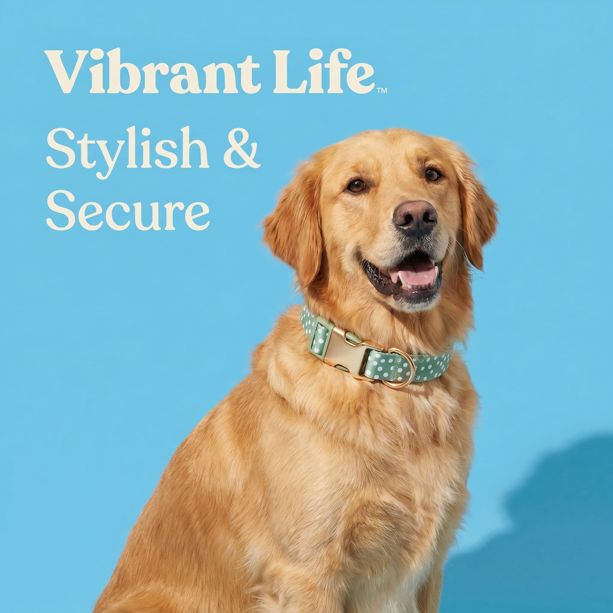 Vibrant Life Adjustable Fashion Dog Collar, Green Polka Dot, Large