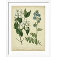 thumbnail image 2 of Art.com Cottage Florals I Art Print by Sydenham Teast Edwards, White Frame Wall Art, 32" x 40", 2 of 5