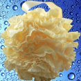thumbnail image 4 of Set de esponja de baño de malla de encaje >> 2 exfoliantes en 1 de Shower Bouquet: Puf grande de 60 g (paquete de 4 colores): exfolie y limpie la piel con lujosos accesorios de bañ, 4 of 5