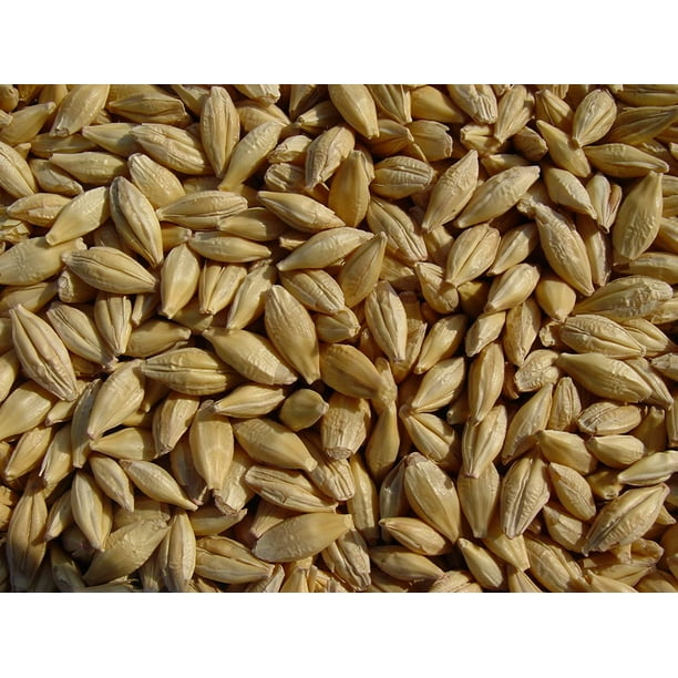 Barley 12 Lbs, Unhulled Barley (Hull Intact), Joseph's GraineryPLXH