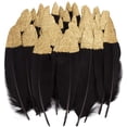 thumbnail image 1 of Mejore su estilo y espacio con diseños decorativos e infundidos para ropa, sombreros, bodas, cumpleaños y más. Plumas vibrantes, 1 of 5
