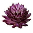 thumbnail image 1 of Mini Artificial Succulents Simulation Plant Bonsai For Desktop Home Garden Decor, 1 of 9