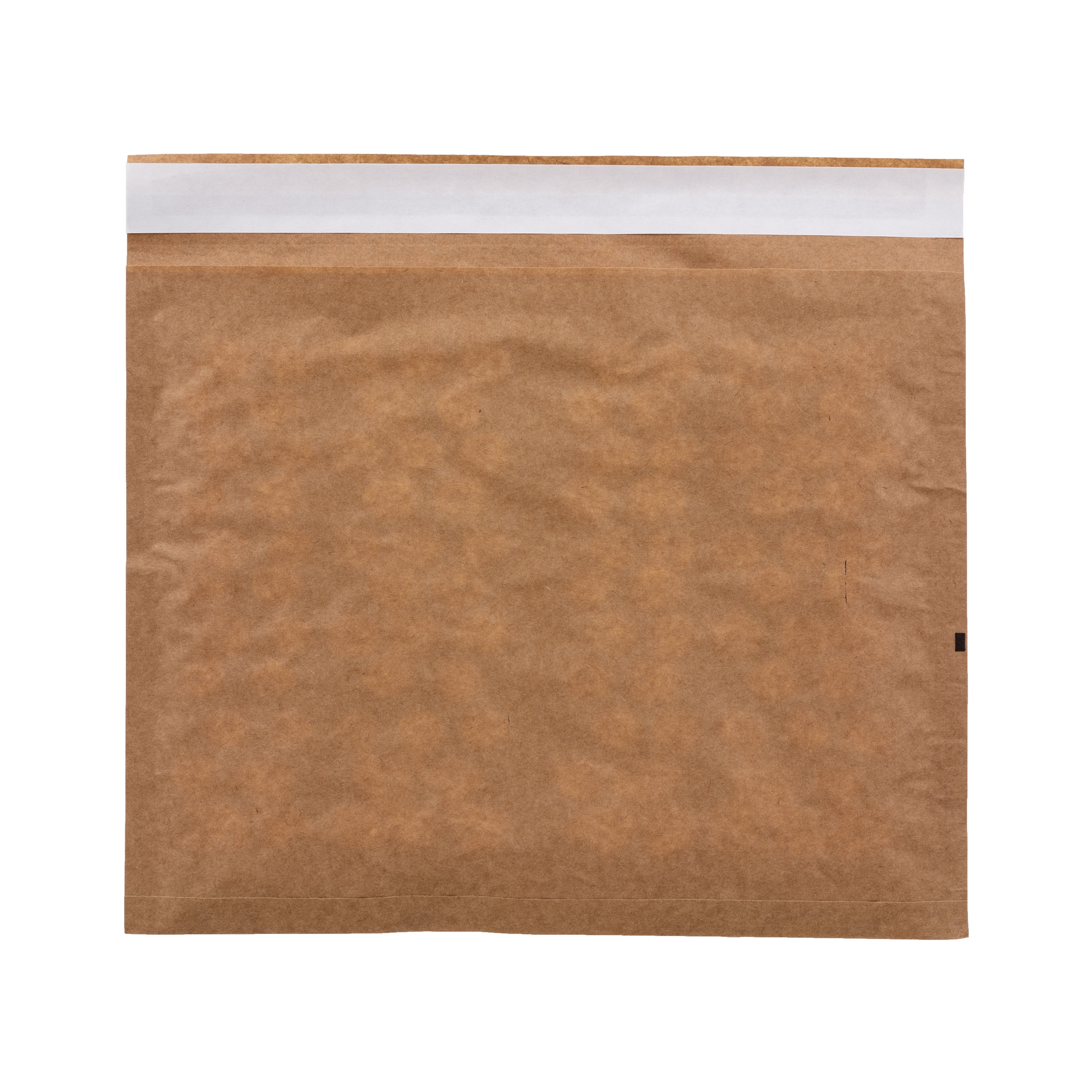Duck Brand Recyclable Paper Mailer, #2, 10.7" x 8.8", Brown