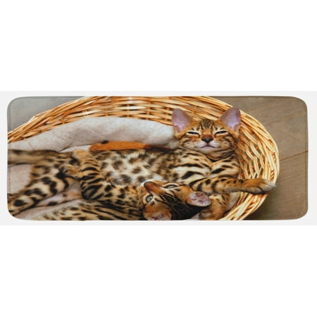 

Kitten Kitchen Mat Little Bengal Cats in Basket Cuddly Purebred Kitties Domestic Feline Plush Decorative Kitchen Mat with Non Slip Backing 47 X 19 Brown Pale Brown Beige by Ambesonne