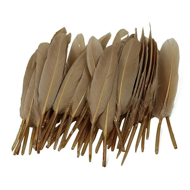 50 piezas teñidas joyería decoración sombreros sombrero banda para el cabello artesanía de bricoje , café BLESIY DIY