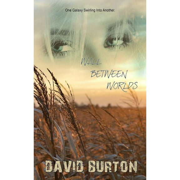 Wall Between Worlds (Paperback)