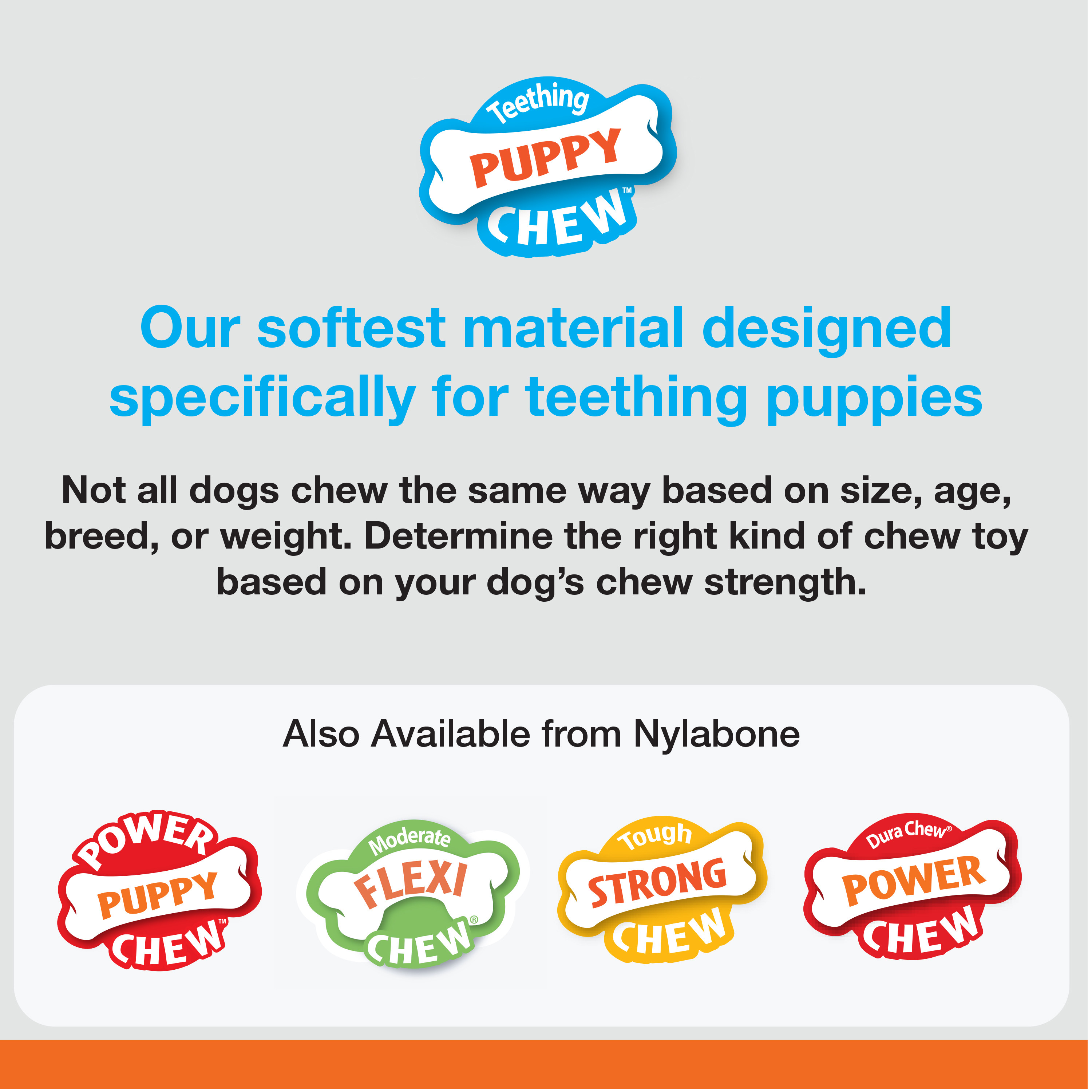 Nylabone Classic Puppy Chew Flavored Durable Dog Chew Toy Chicken & Peanut Butter Bone X-Small/Petite - Up to 15 lbs. (2 Count) - image 6 of 11