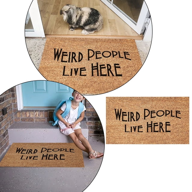 Carpet Doormat for Entryway — Non Indoor Entrance Rug for Front Door Bathroom Mat Durable Front Door Welcome Mat