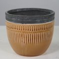 thumbnail image 1 of Cognac avec Jardinière Grise, 1 of 1