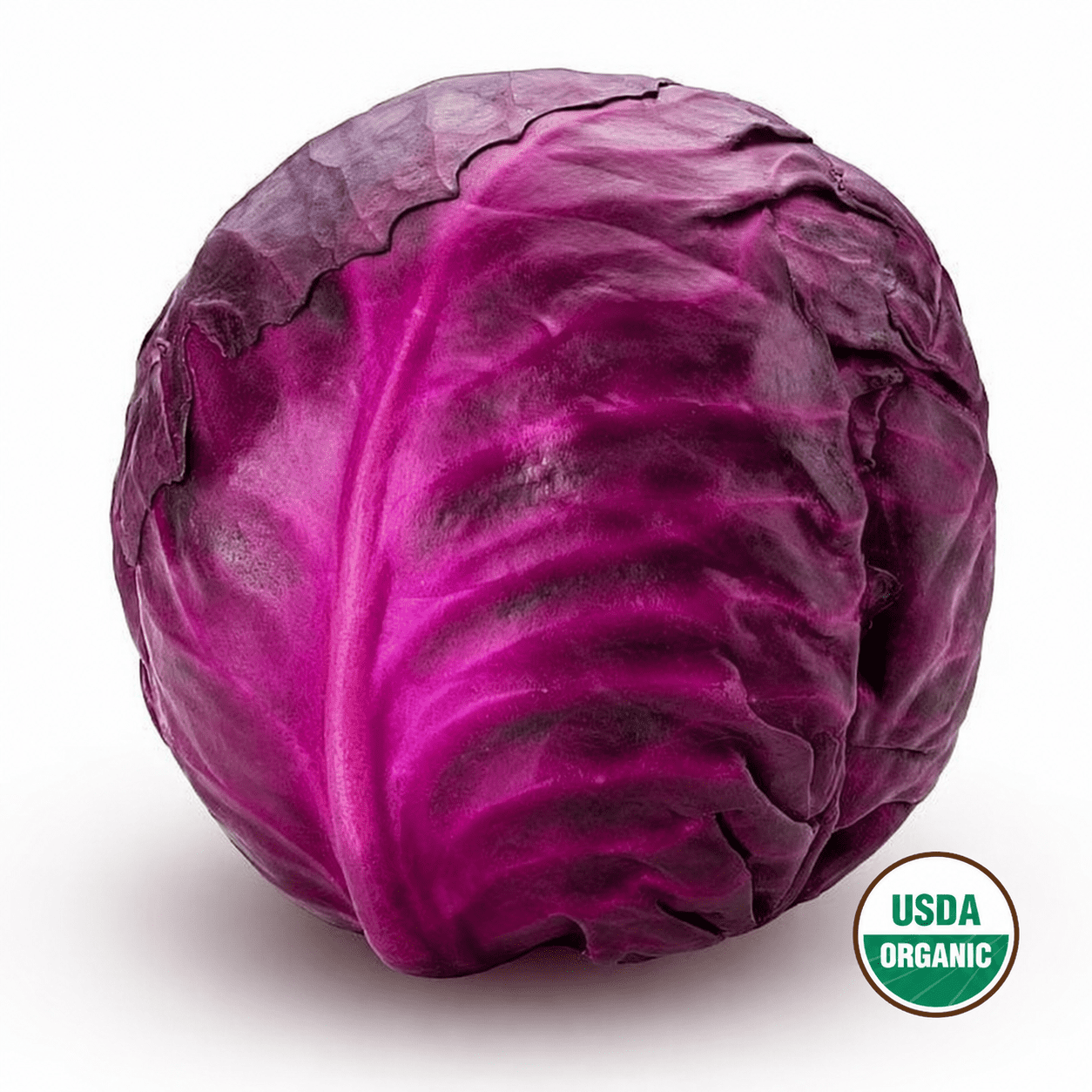Fresh Organic Red Cabbage, Each
