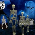 thumbnail image 2 of Halloween Human Skeleton Extra Large Movable Natural Decorative Party Prop, 2 of 5