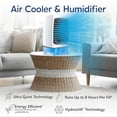 thumbnail image 4 of ARCTIC AIR Chill Zone XL Enfriador de aire evaporativo, 4 of 5