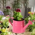 thumbnail image 1 of Jardinera de regadera de metal rústico para decoración interior y exterior, 1 of 8