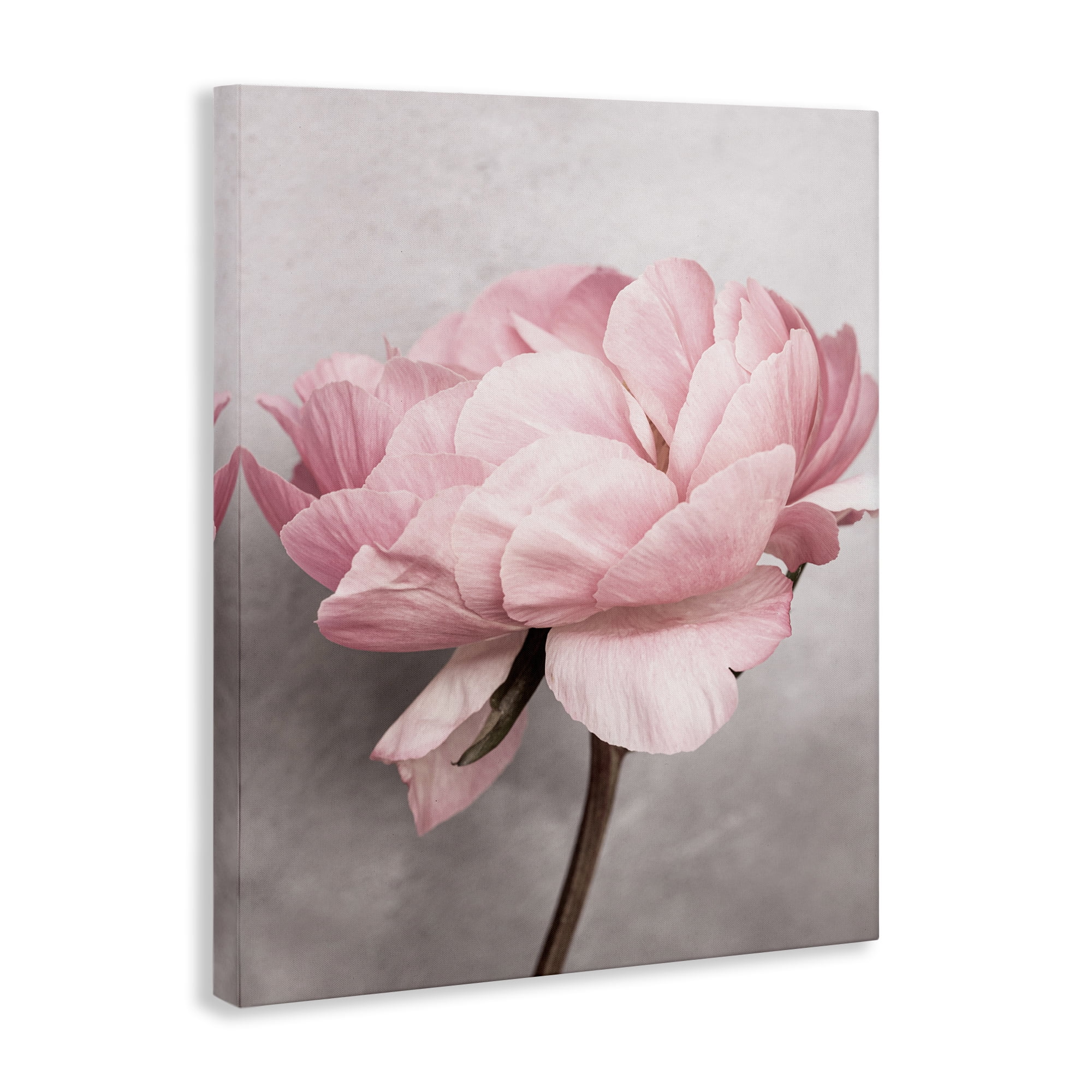 Stupell Industries Blooming Vintage Peony Plants & Flowers Painting Wrapped Canvas Art Print Wall Art, 36 x 48