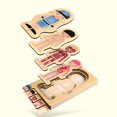 thumbnail image 2 of Rompecabezas De Cuerpo Humano De Madera Para Niños Y Niñas, Rompecabezas De Múltiples Capas Con Estructura Corporal, Juguetes Para Niños, Juguetes Educativos Montessori Para Niños Moyic FN003451-02, 2 of 6