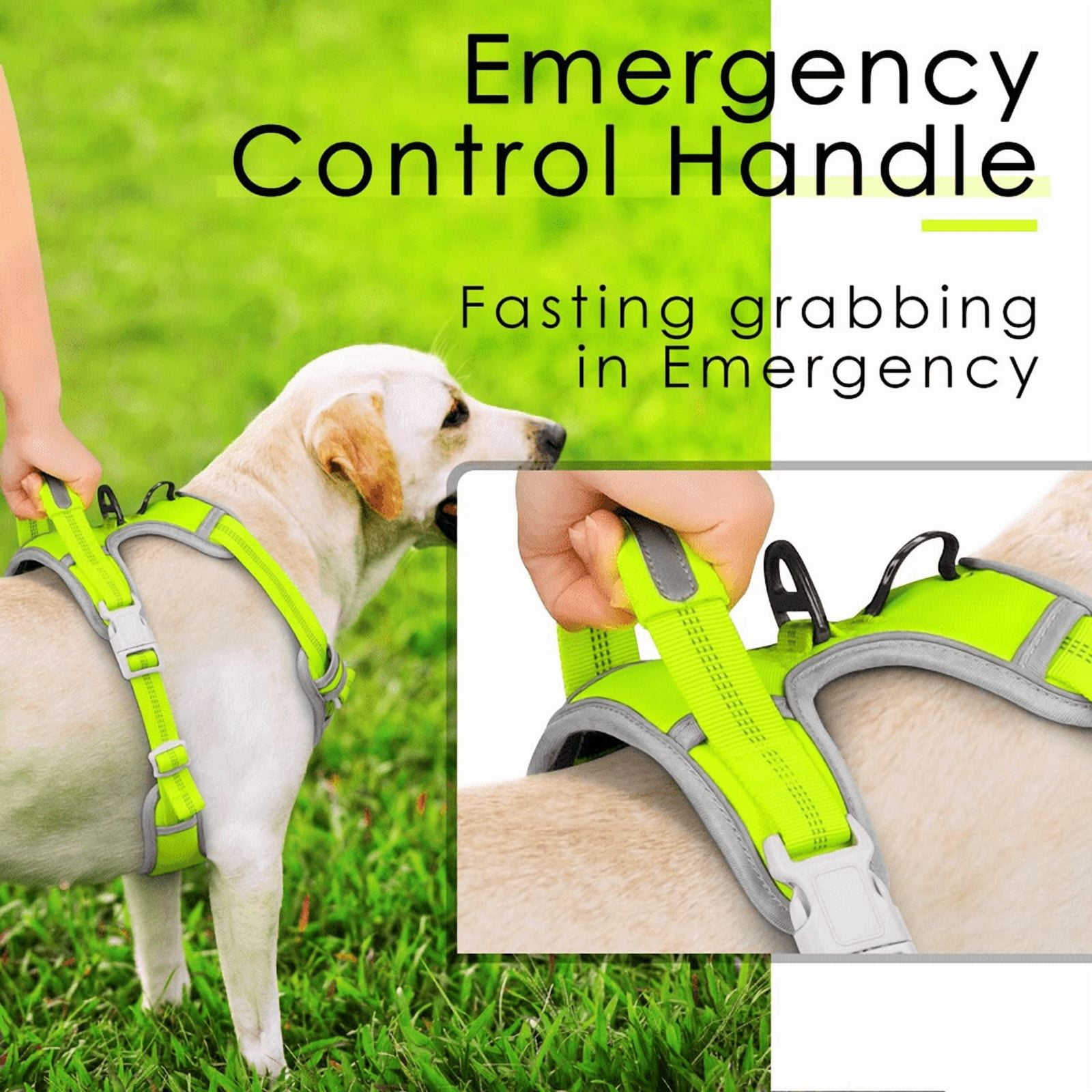 ThinkPet No Pull Harness Set Breathable Sport Harness with Handle - Reflective Padded Dog Safety Vest with Reflective Neon Dog Leash