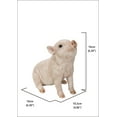thumbnail image 3 of BABY PIG SITTING - PINK, 3 of 4