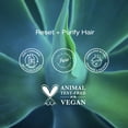 thumbnail image 4 of Raw Sugar The Deep Cleanse Clarifying Shampoo, Charcoal + Matcha + Aloe, 18 fl oz, 4 of 8