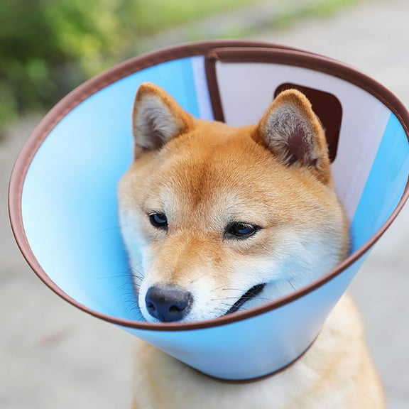 Dog Cone Collar Adjustable After Surgery, Comfortable Pet Recovery Collar & Cone for Large Medium Small Dogs, Elizabethan Dog Neck Collar Plastic Practical Blue Color