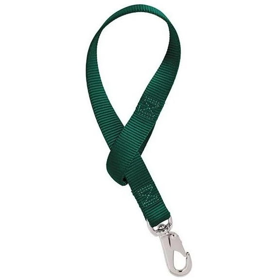 Weaver Nylon Bucket Strap: Simplify Pet Care with Durable Hunter Green Strap