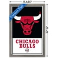 thumbnail image 2 of NBA Chicago Bulls - Logo 21, 2 of 4