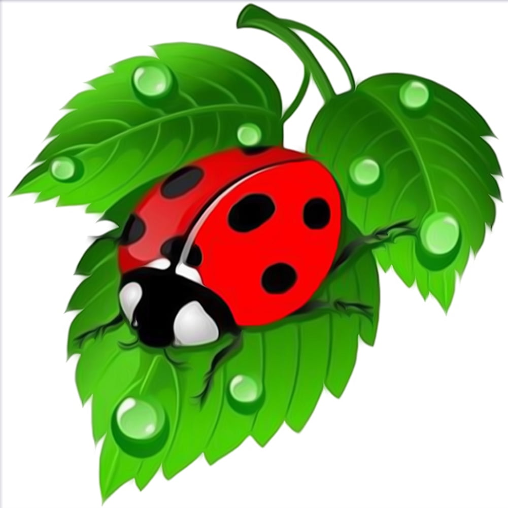 Dessin Coccinelle Sur Une Feuille yuyomalo Art Dessin Coccinelle sur Feuille Kit 5D DIY Pleine Perceuse Ronde Peinte à la Main | Walmart Canada