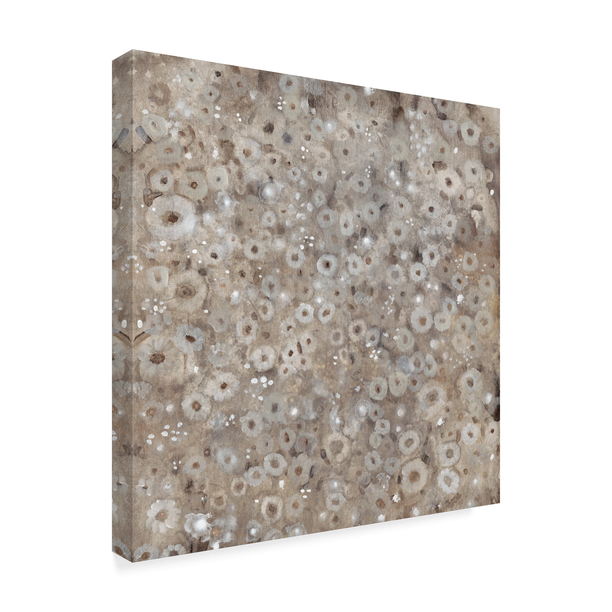 Trademark Fine Art 'Multiplicity I' Canvas Art by Tim OToole