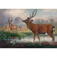 thumbnail image 3 of Joseph Wolf 14x11 Black Modern Framed Museum Art Print Titled - The Mantchurian Deer (1861-1867), 3 of 5