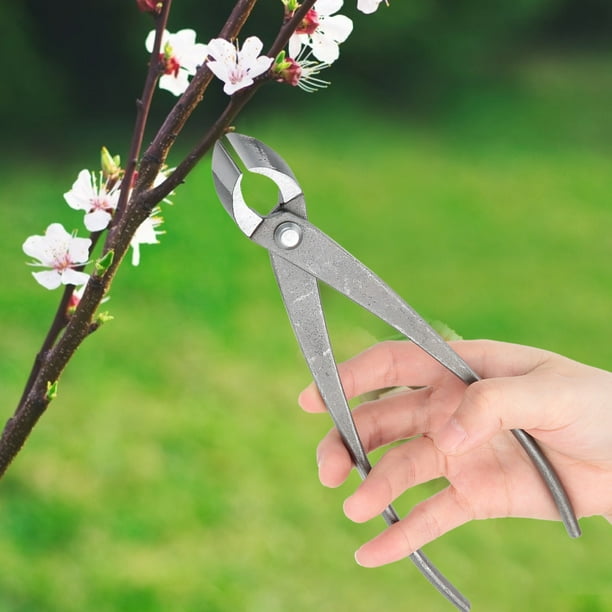 Lsaardth Branch Cutter Bonsai Tools 8 Inch Concave Cutter Bonsai
