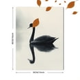 thumbnail image 3 of Qisvanset 12x16 Inch 2D Flat Framed Canvas Art, Black Swan Water Reflection Minimalist Wildlife Modern Home Wall Art, 3 of 5