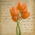 thumbnail image 2 of Greene, Taylor 12x12 White Modern Wood Framed Museum Art Print Titled - ORANGE TULIP II ON GOLD, 2 of 4
